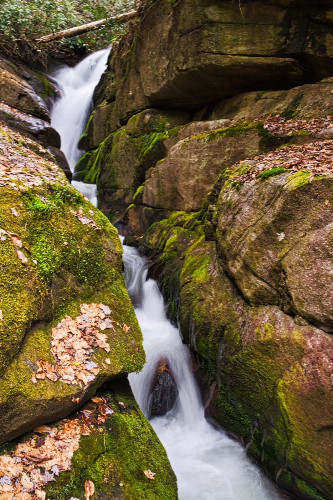 Another visit to Rocky Bottom Falls