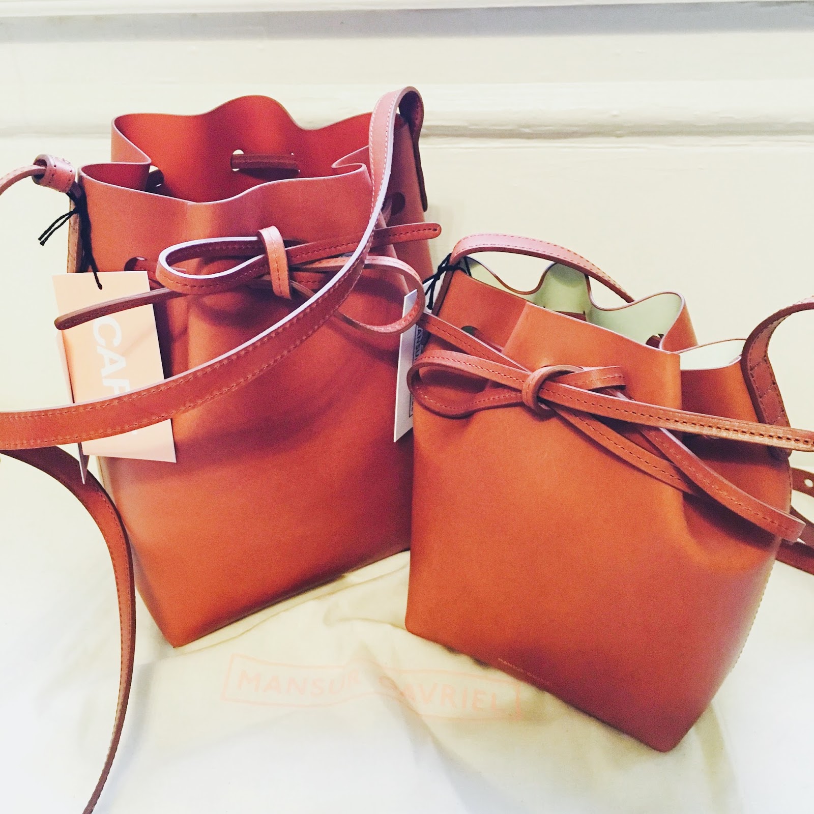 laws of general economy: BNWT Mansur Gavriel Brandy bucket bags