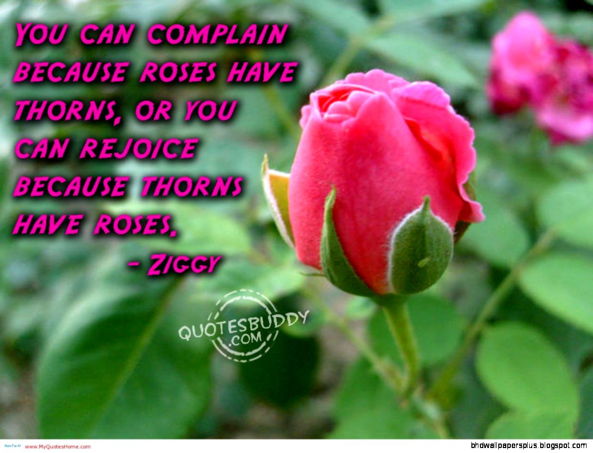 Quotes wallpapers  milliwall