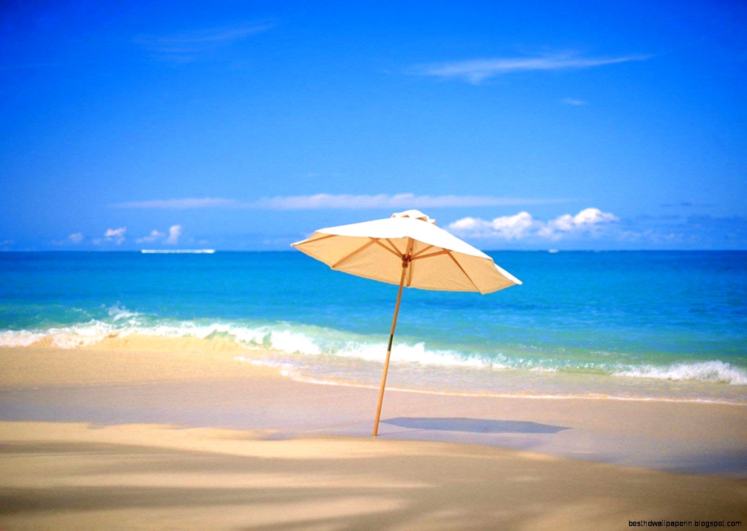 Beach Umbrella