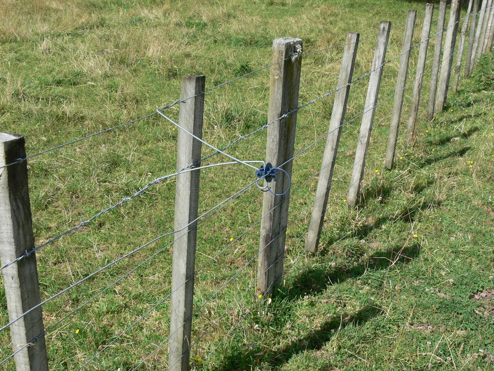 Woolshed 1 New Zealand farming. Fencing Glossary of terms.