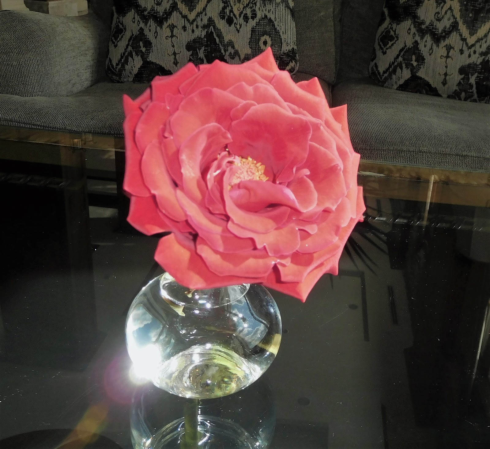 Fifty, not Frumpy: New Jeans