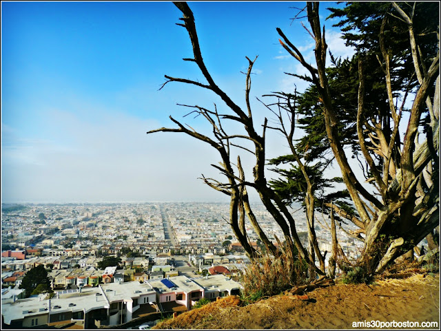 Vistas San Francisco desde 16th Avenue Tiled Steps