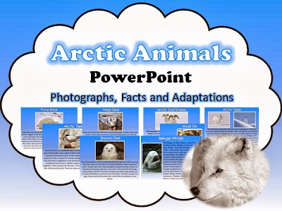 Arctic Animals PowerPoint