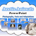 Arctic Animals PowerPoint