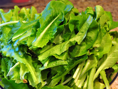 Easy BLT Salad is a quick low carb dinner recipe when you are craving a big BLT sandwich.