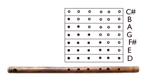 bamboo grove photo bamboo flute chords dizi finger chart key g