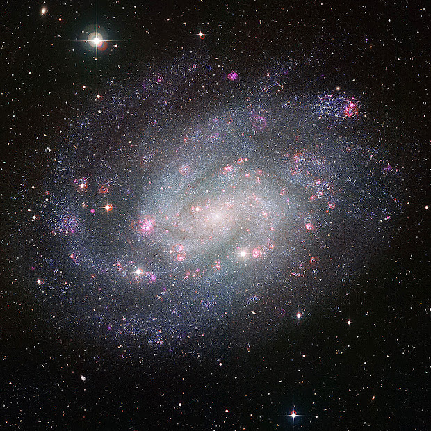 Gorgeous picture of the southern Spiral Galaxy NGC 300