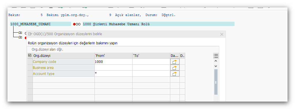 sap basis pfcg yetki ve rol bakımı