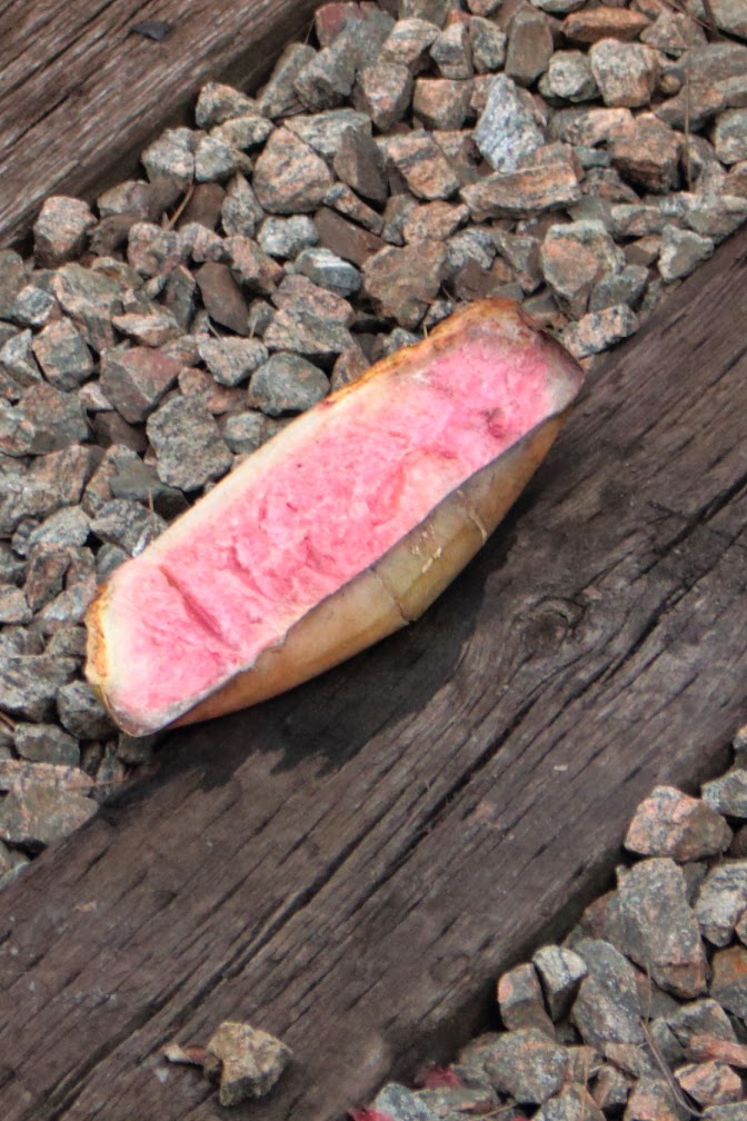 what's in a word? When Good Fruit Goes Bad