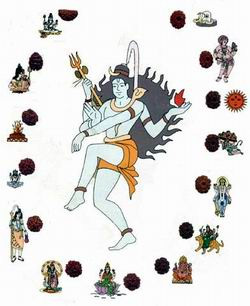 srie connections: Sacred Connection Between Rudraksha And God