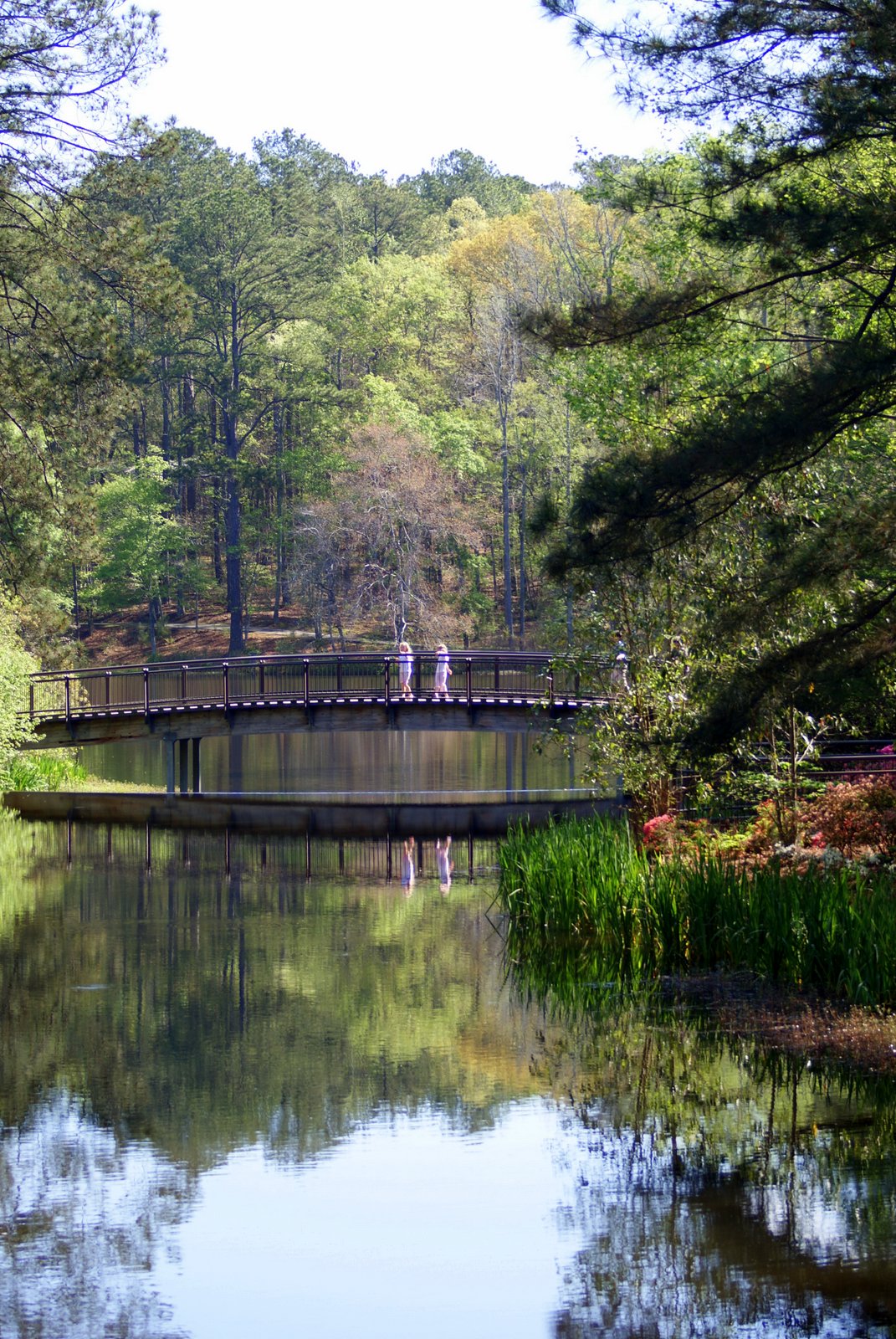 A Little Loveliness A Stroll Through Callaway Gardens