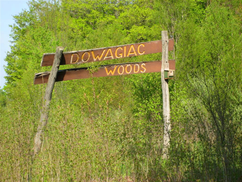 Plants Amaze Me Road Trip to Dowagiac Woods Nature Sanctuary