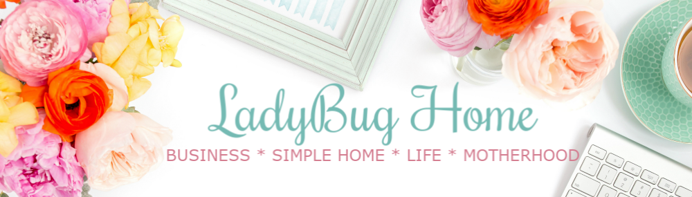 LadyBug Home and Designs
