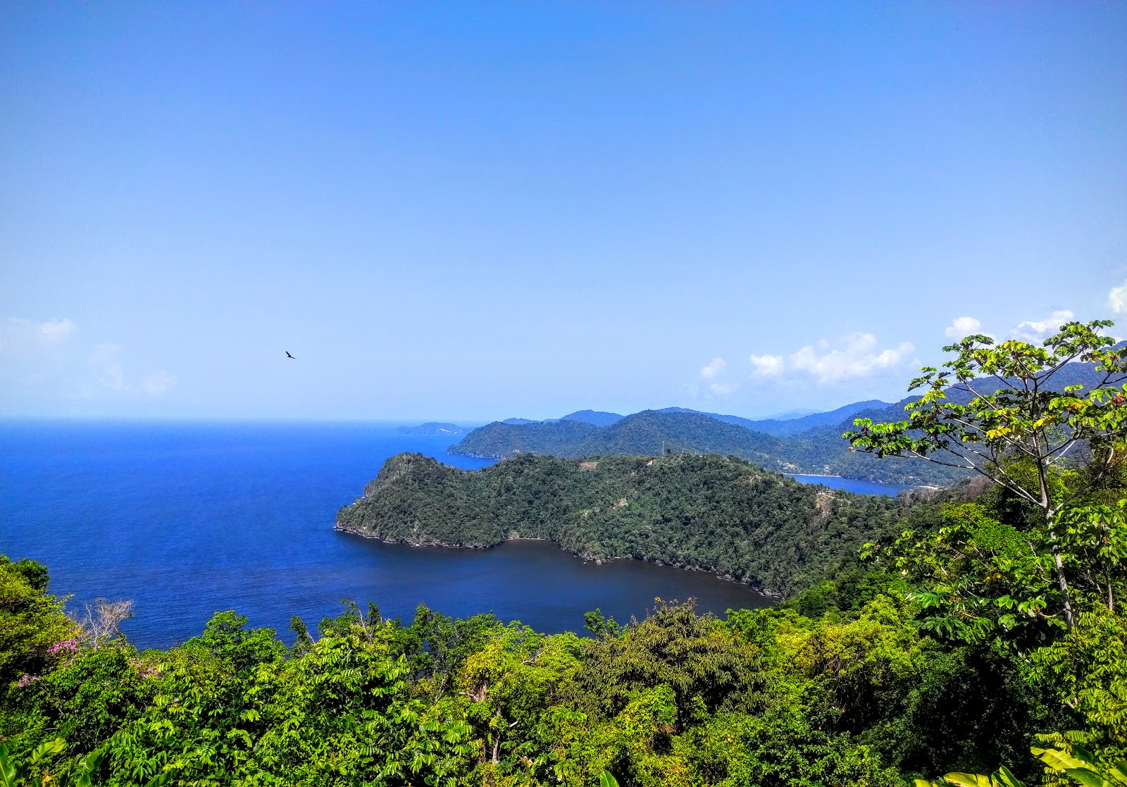 This NATURAL Thing Maracas Bay Palm Trees, Rolling Waves, & Lunch
