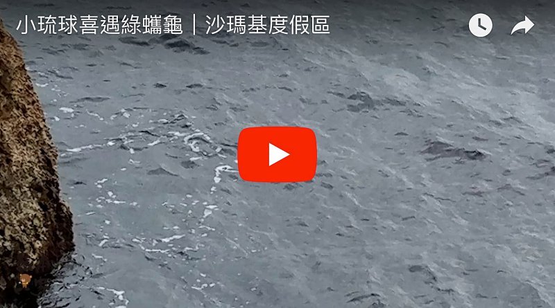 小琉球萬坪露營區|沙瑪基渡假區|露營烤肉看海龜IG拍照打卡地標