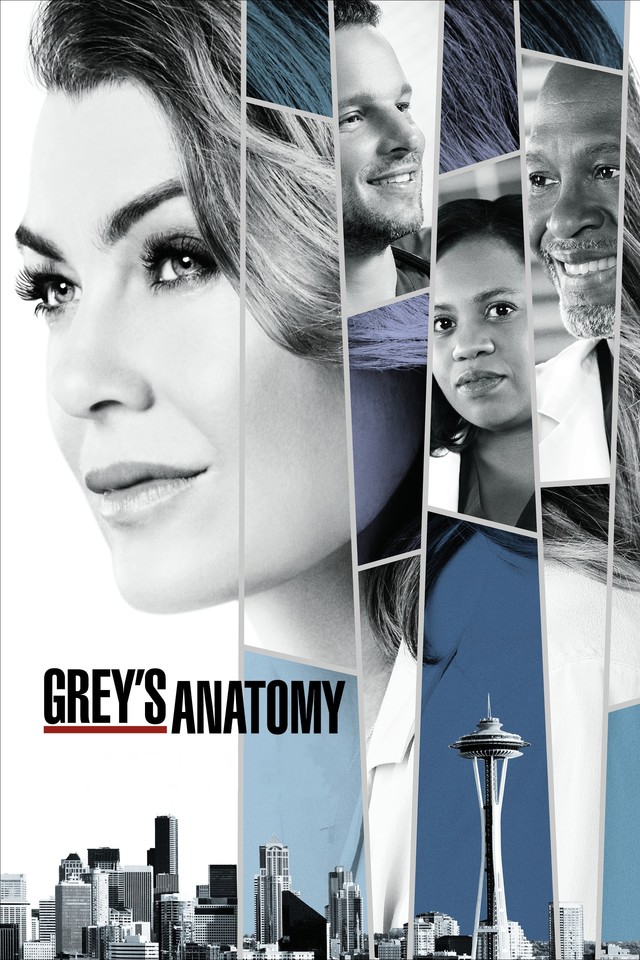 Grey's Anatomy Online Subtitrat In Romana Filme Seriale Online HD