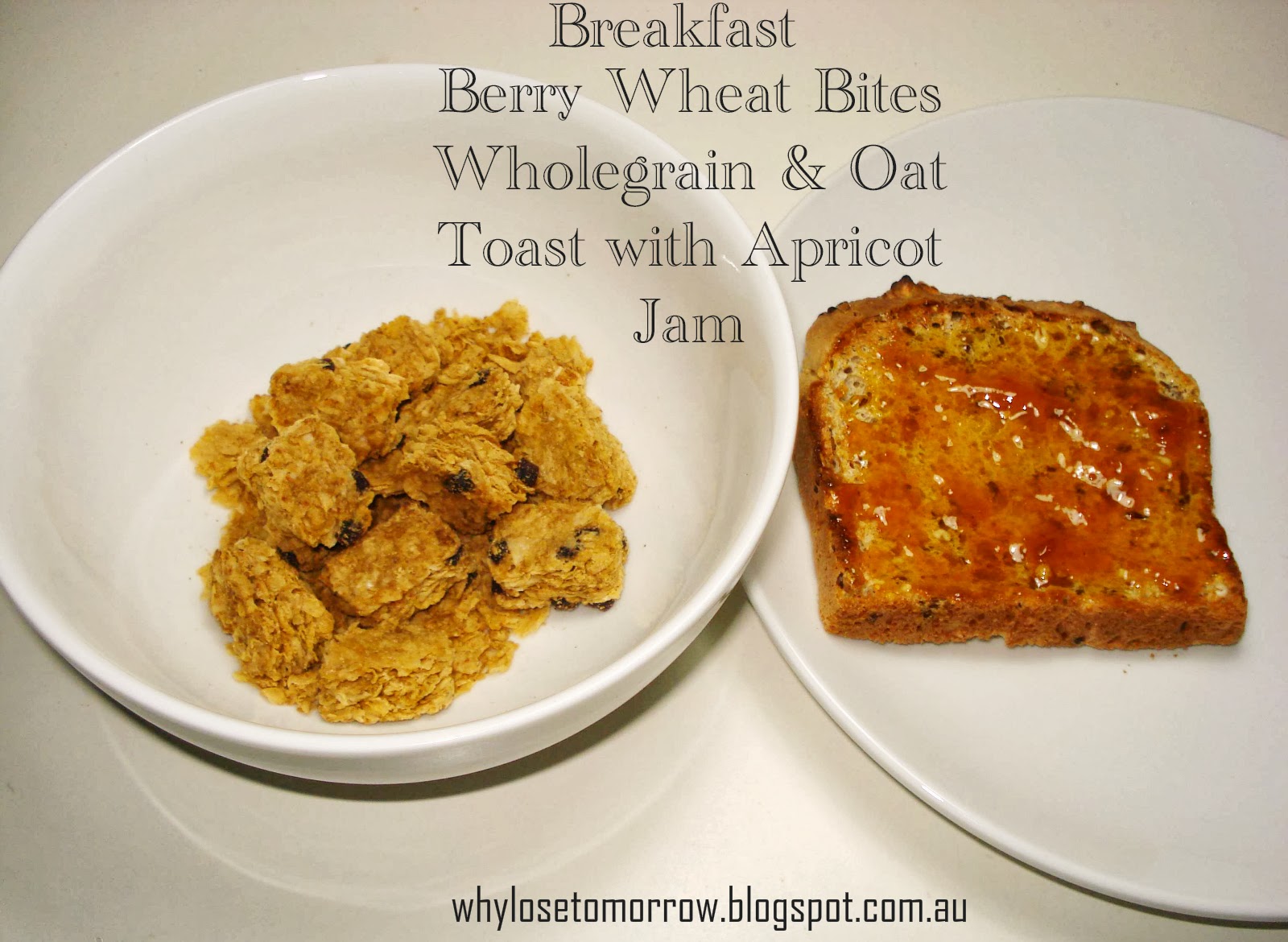 Why Lose Tomorrow? Weight Loss Week Seven Day Four Lite and Easy (Lite