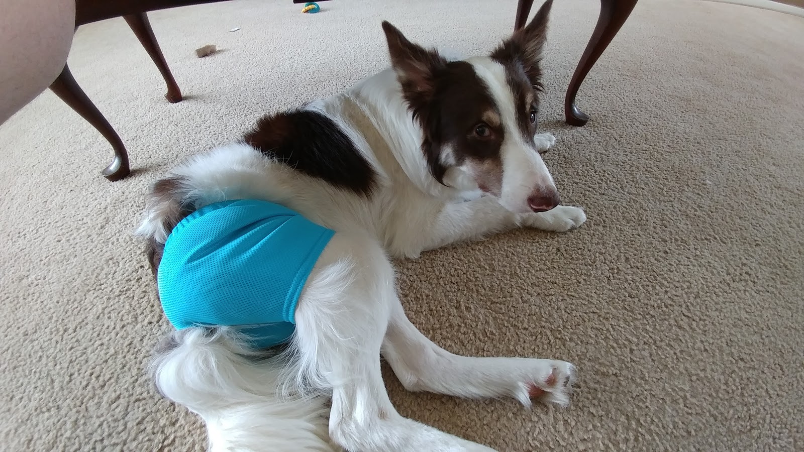 Beren's Tale: Neutered!