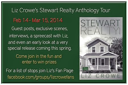 Stewart Reality Anthology Tour