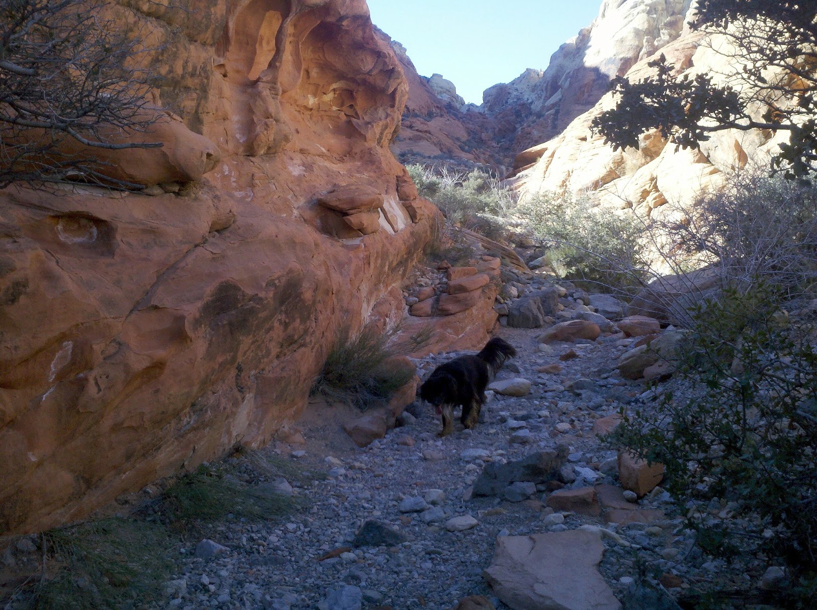 calico basin calico basin