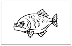 How To Draw Piranha Fish Cartoon Drawing Step By Step