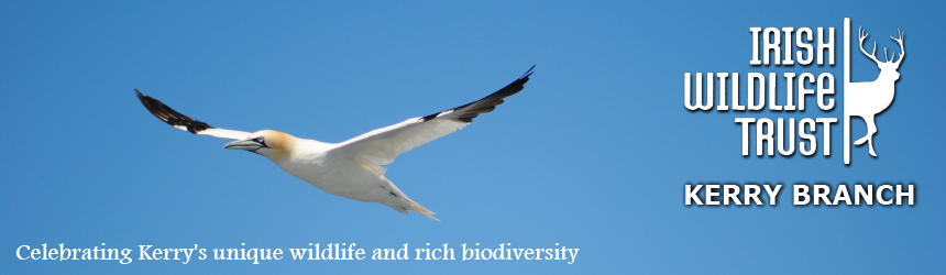 Kerry Branch of The Irish Wildlife Trust