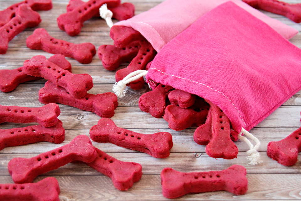Dalmatian DIY Valentine Dog Treat Tips for Pretty Pinks and Ravishing Reds