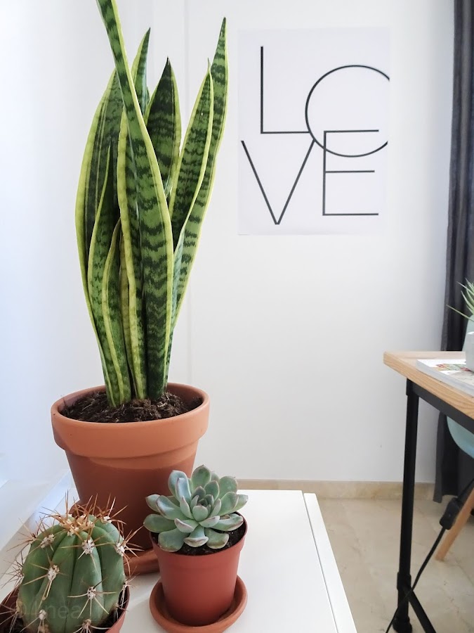 láminas decorativas