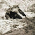 ΜΟΛΙΣ ΤΩΡΑ ΚΑΙ... ΑΝ...ΙΣΧΥΕΙ...ΕΙΝΑΙ...ΒΟΜΒΑ...!!«ΕΦΤΑΣΕ Η ΩΡΑ...Το ΜΕΓΑΛΟ Κακό θα Ξεκινήσει ΜΑΡΤΙΟ Μήνα από την Αλβανία!!ΜΗΝ ΦΟΒΗΘΕΙΤΕ ΕΣΕΙΣ...ΚΑΝΤΕ ΠΝΕΥΜΑΤΙΚΗ ΠΡΟΕΤΟΙΜΑΣΙΑ...Η ΕΛΛΗΝΕΣ ΕΙΝΑΙ Ο ΑΓΑΠΗΜΕΝΟΣ ΛΑΟΣ ΤΟΥ ΘΕΟΥ...!!Θα ανοιχτεί πόλεμος μεταξύ Αλβανίας – Κοσόβου- Σερβίας – Σκοπίων...Η ΡΩΣΙΑ θα βοηθήσει την ΣΕΡΒΙΑ και θα κτυπήσει ΞΑΦΝΙΚΑ την ΤΟΥΡΚΙΑ διότι θα γνωρίζει ότι πίσω από αυτόν τον πόλεμο κρύβεται η Τουρκία...!!Ο πόλεμος από τα Βαλκάνια θα μετατοπιστεί στην Τουρκία ( στην Κωνσταντινούπολη) εκεί παιδί μου θα γίνει το ΜΕΓΑΛΟ ΚΑΚΟ...!!«ΚΑΤΣΕ ΝΑ ΣΟΥ ΠΩ ΤΙ ΘΑ ΣΥΜΒΕΙ ΑΠΟ ΕΔΩ ΚΑΙ ΠΕΡΑ ΠΟΥ ΜΟΥ ΕΙΠΕ Η ΠΑΝΑΓΙΑ!!ΝΑ ΤΑ ΠΕΙΣ ΚΑΙ ΕΣΥ ΣΤΟΝ ΚΟΣΜΟ ΘΑ ΕΧΕΙΣ ΕΥΛΟΓΙΑ ΑΠΟ ΤΟΝ ΘΕΟ»....!!