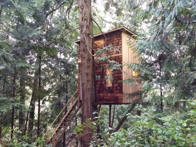 treehouse home