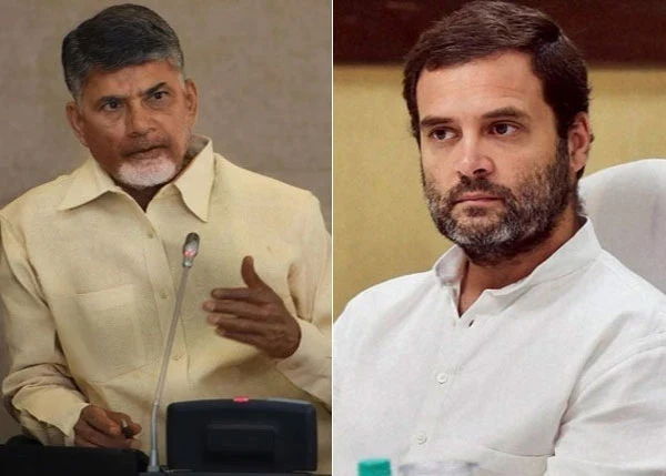 National, News, BJP, Rahul Gandhi, Andhra Pradesh, Congress, NCP, Lok Sabha, Election, Chandra babu naidu made discussion with rahul gandhi