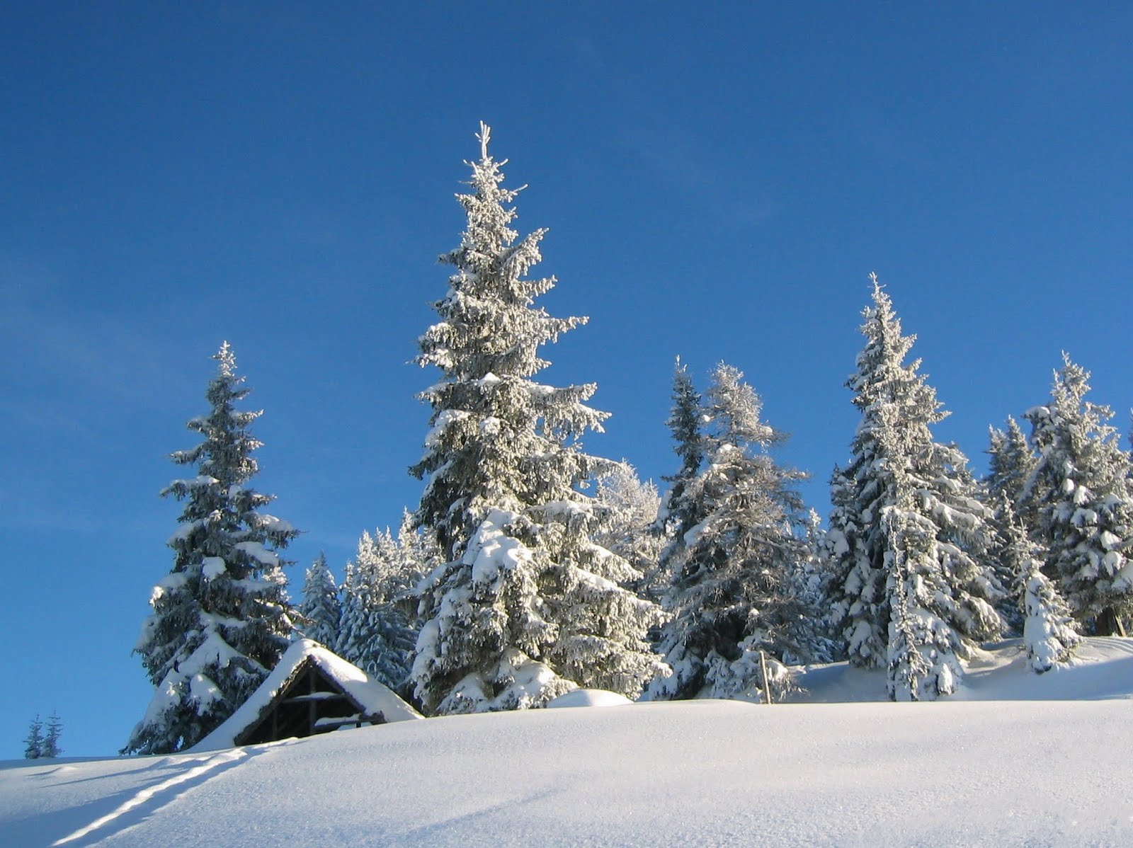 Verse sneeuw in Alpendorf en Wagrain