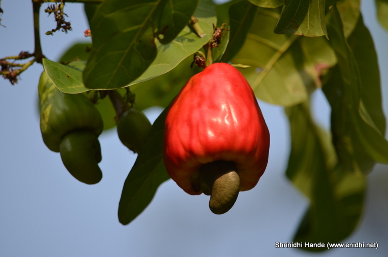 Events, News, Offers and More