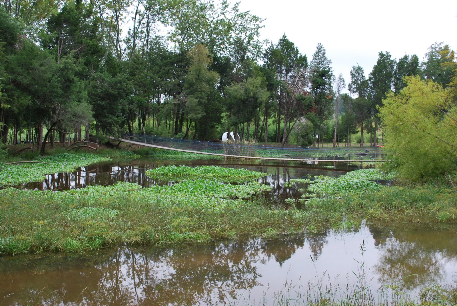 The Next Best Thing..... Ticonderoga Farms in Chantilly, VA!