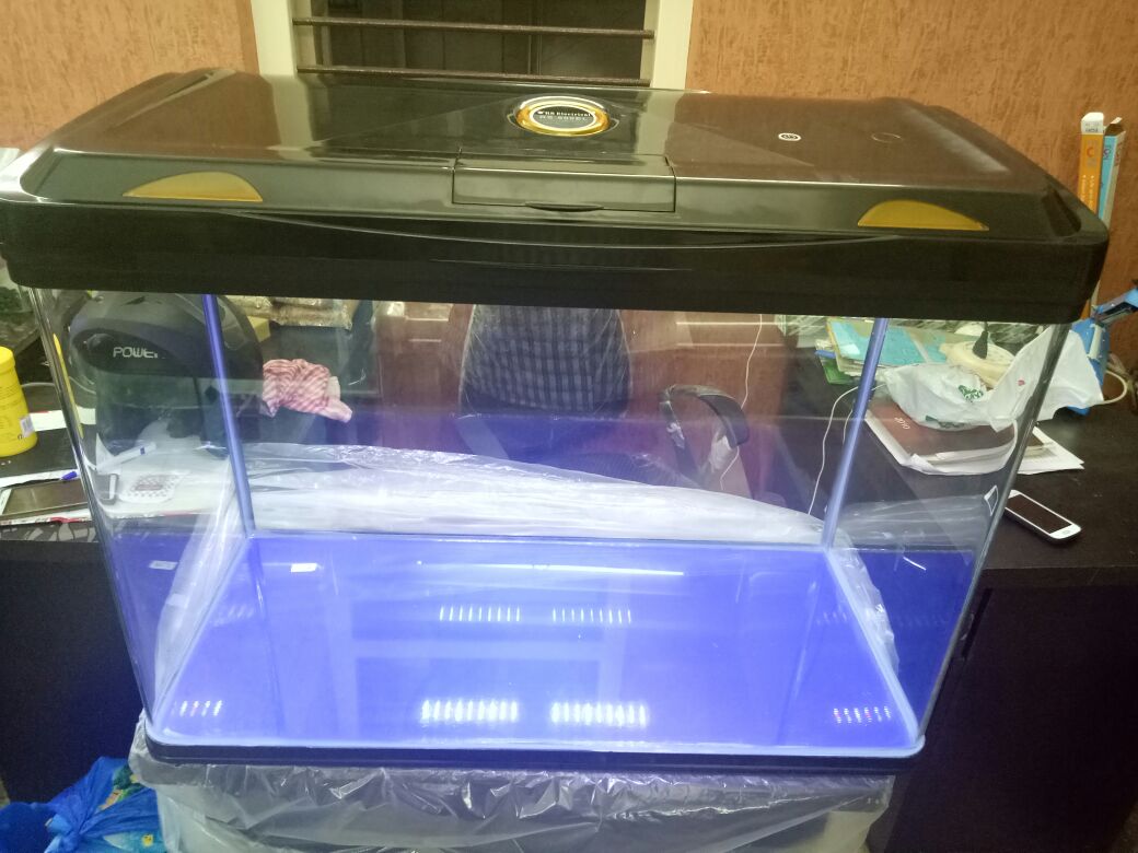 JOE'S AQUAWORLD FOR EXOTIC FISHES MUMBAI INDIA 9833898901 aquarium