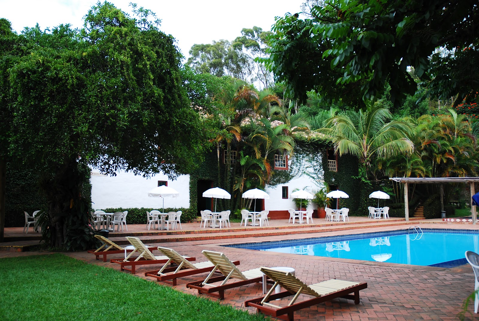 Nosso Jornal SC: Turismo rural de Santa Branca é opção alternativa no