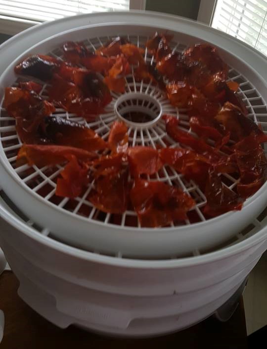 DEHYDRATING TOMATO SKINS TO MAKE TOMATO POWDER