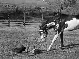 Stunt horse rider It Happened in Hollywood 1937 Richard Dix