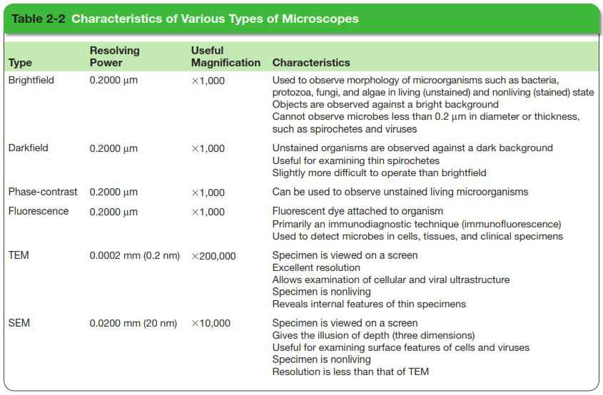 Different Types Of Microscopes And Their Uses
