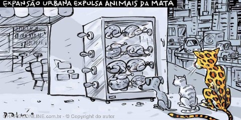 dalcio2.jpg (480×240)