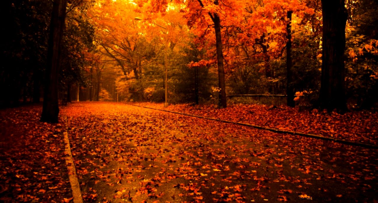 Relaxing Music Nature Sounds Most Calm Music New Age for