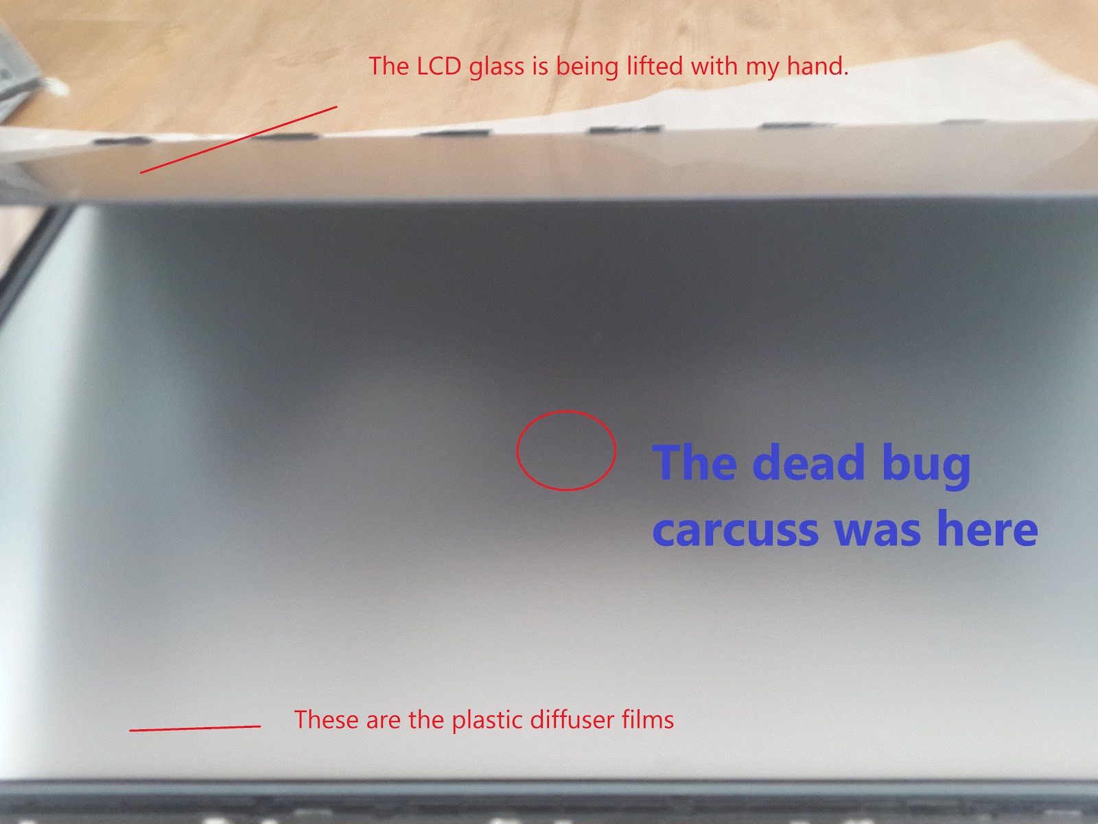 bug inside lcd screen for sale