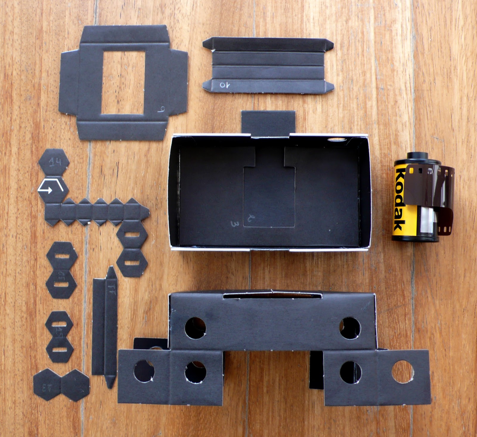 apple tree diy paper pinhole camera