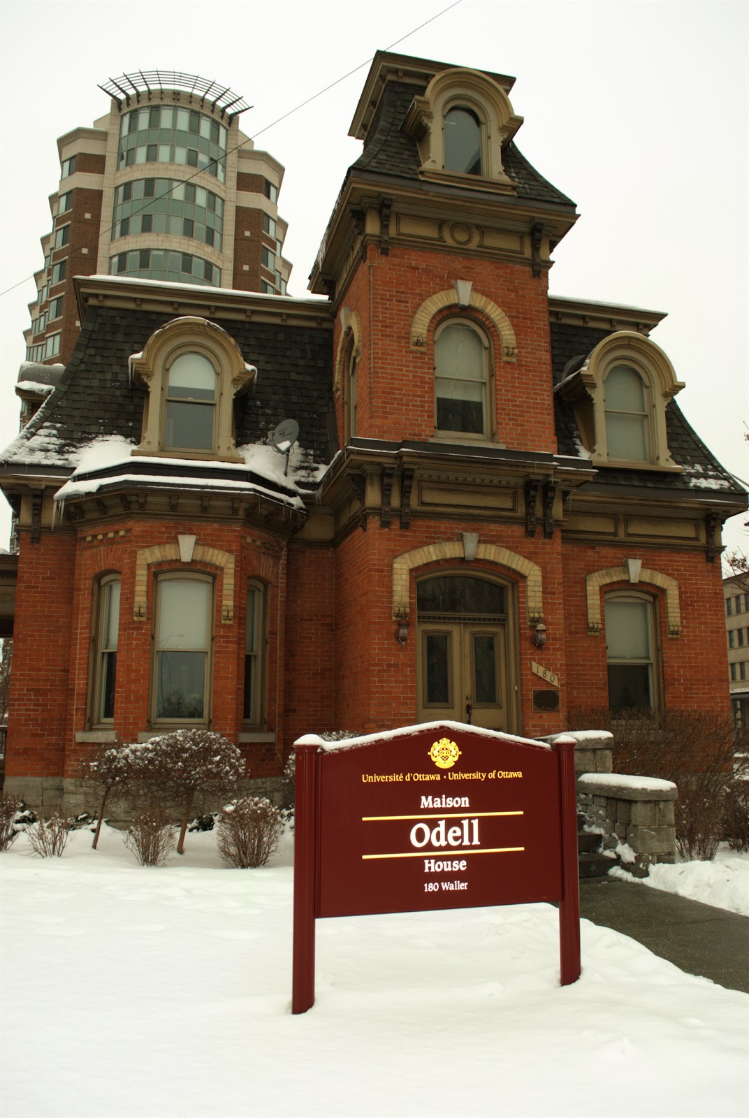 The Brown Knowser Odell