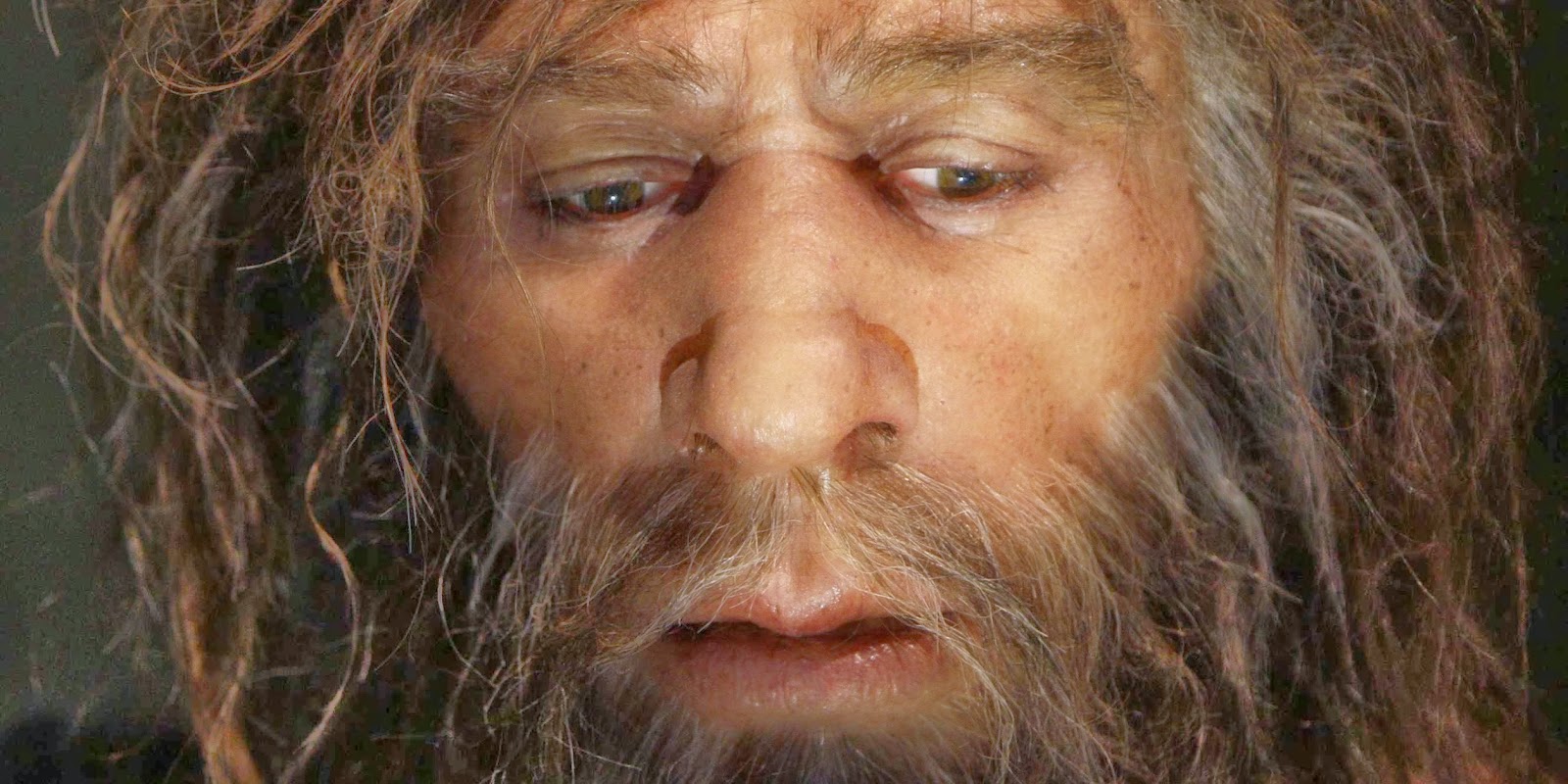 Neanderthals may have faced extinction long before modern humans ...