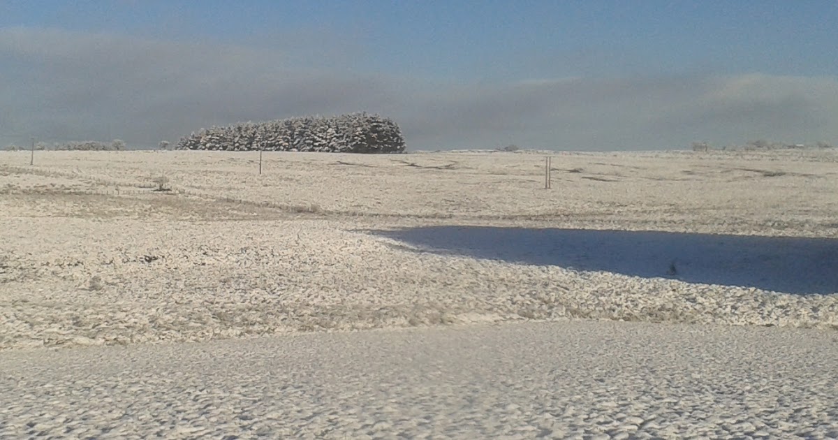 Angus' Bean Goose Blog News Update for 30 December 2017