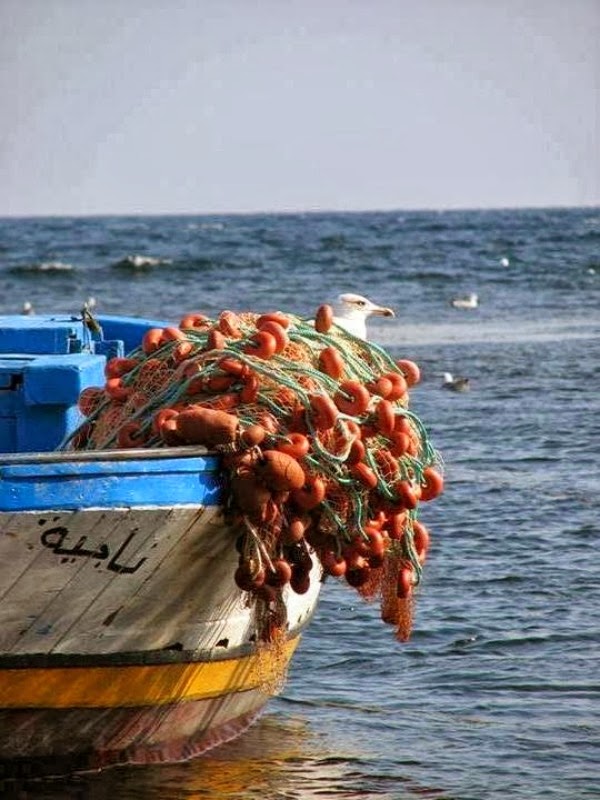 non sei tu il mare?