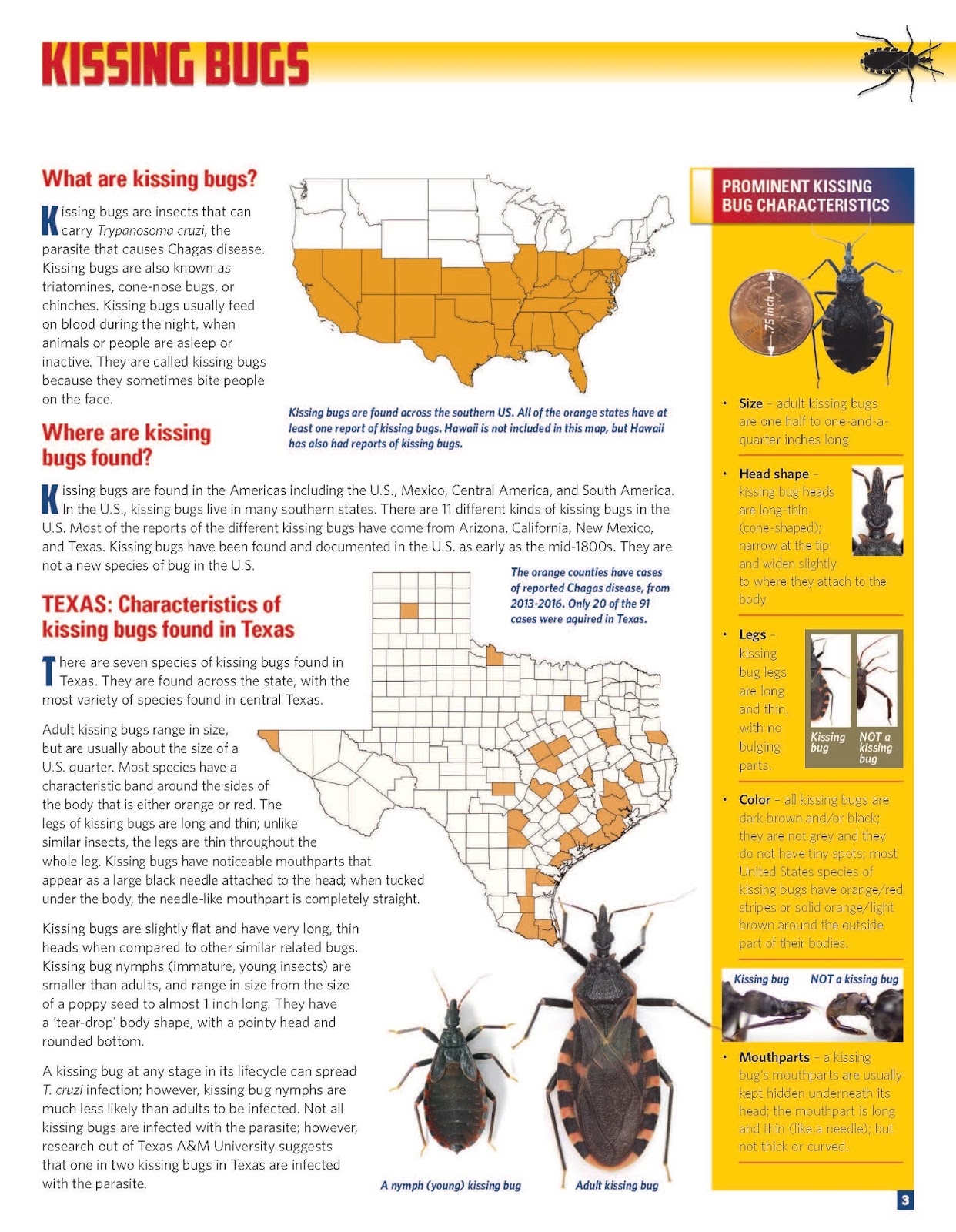 Bexar County Medical Society Kissing Bugs & Chagas Disease What You