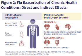 Avian Flu Diary Plos One Transient Depression Of Myocardial Function After Influenza Virus Infection